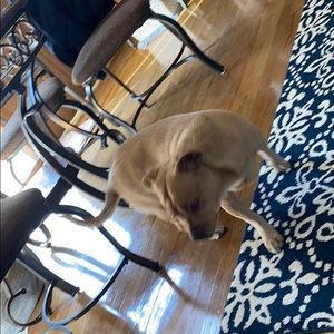 Meet your Posher, Lisa